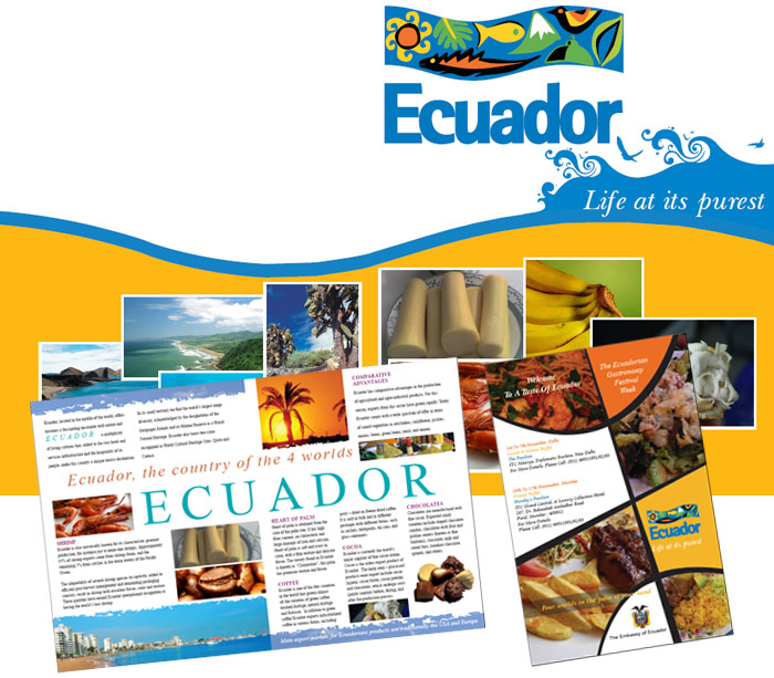 brochure designing company